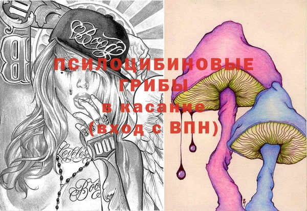 МДПВ Тобольск