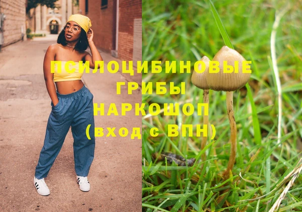 МДПВ Тобольск