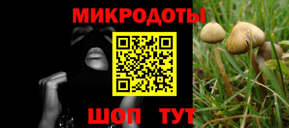 Галлюциногенные грибы ЛСД Сочи