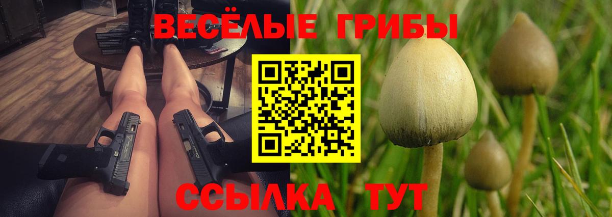 Галлюциногенные грибы Psilocybine cubensis  Вход с VPN  Сочи 